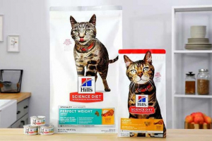Cat feed hill's - jak wybrać? Cat feed hill's - jak wybrać?